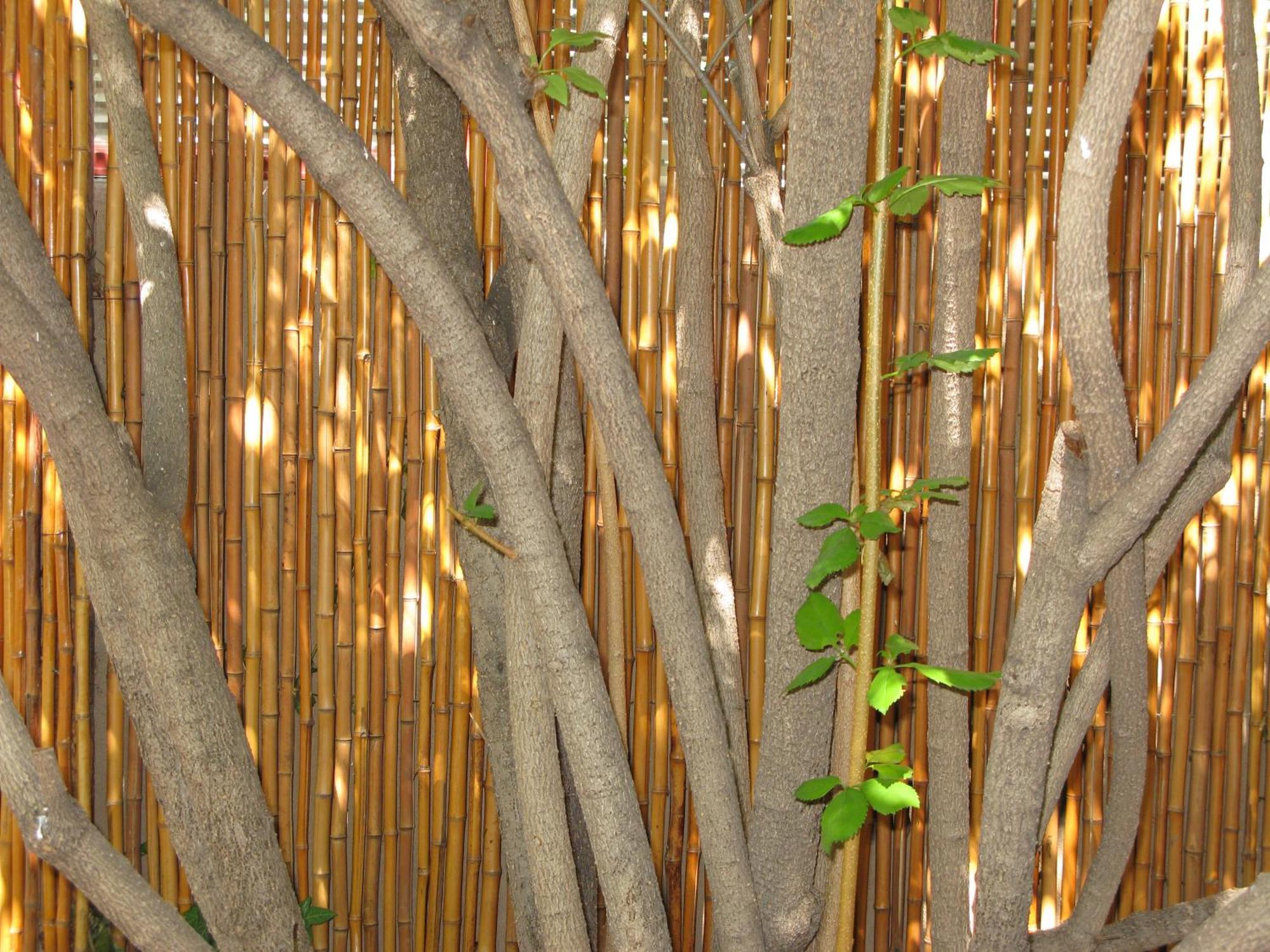 Casa De Tres Lunas/House Of Three Moons Santa Fe Ngoại thất bức ảnh